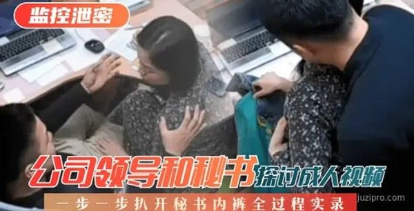 公司领导与秘书内幕讨论视频过程揭秘