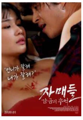 姐妹们-监禁的回忆   2020