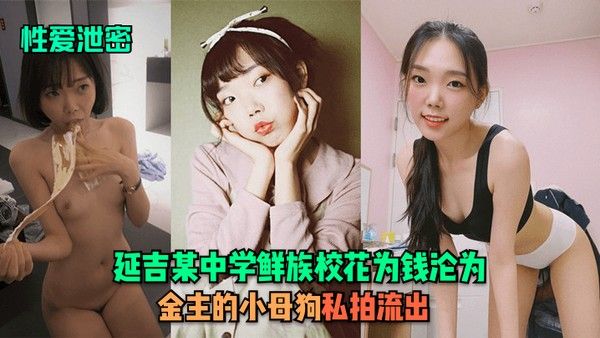 性爱泄密延吉某中学鲜族校花为钱沦为.金主的小母狗私拍流出
